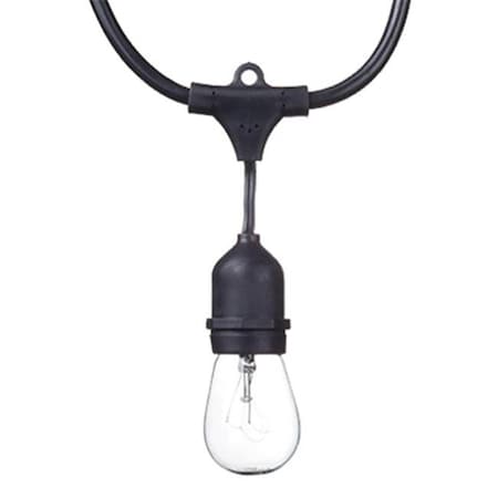 Globe Electric Globe Electric 241483 24 ft. 80 Lumens Dublin Collection S14 LED String Light Set; 12 Light 241483